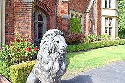 A FAIRY TALE WEDDING